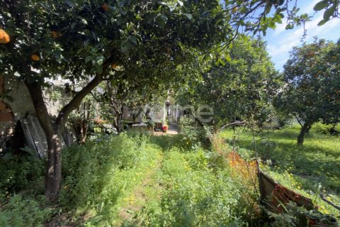 Villa i Coimbra, Coimbra, Coimbra - € 565.000 | Ref: ZMPT587267 - foto 17