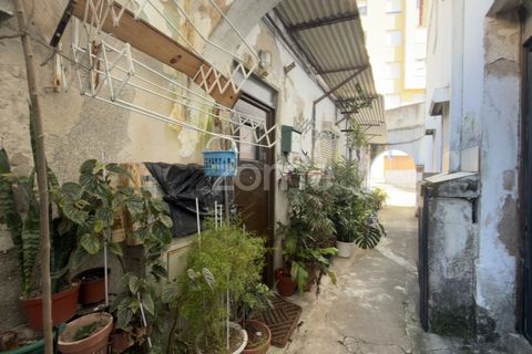 Villa i Coimbra, Coimbra, Coimbra - € 565.000 | Ref: ZMPT587267 - foto 25
