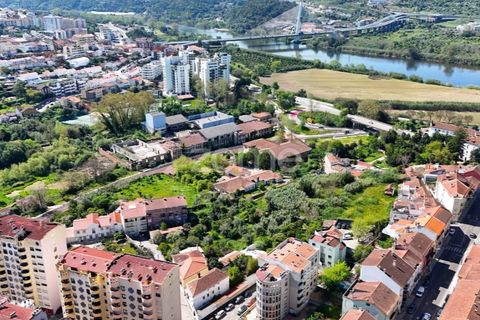 Villa i Coimbra, Coimbra, Coimbra - € 565.000 | Ref: ZMPT587267 - foto 32
