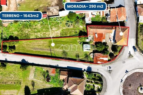 Villa i Sangalhos, Aveiro, Sangalhos - € 190.000 | Ref: ZMPT587212 - foto 3