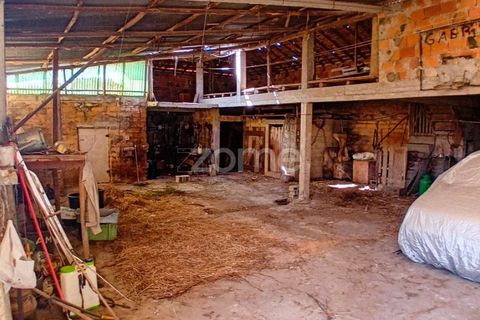 Villa i Sangalhos, Aveiro, Sangalhos - € 190.000 | Ref: ZMPT587212 - foto 10