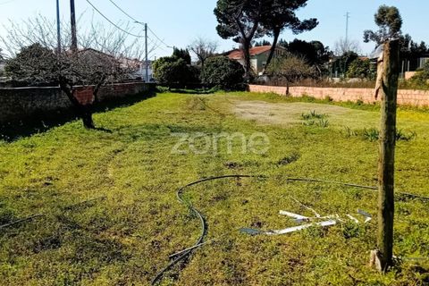 Villa i Sangalhos, Aveiro, Sangalhos - € 190.000 | Ref: ZMPT587212 - foto 11