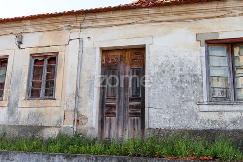 Villa i Pombal, Leiria, Pombal - € 350.000 | Ref: ZMPT587083 - foto 4