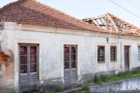 Villa i Pombal, Leiria, Pombal - € 350.000 | Ref: ZMPT587083 - foto 9