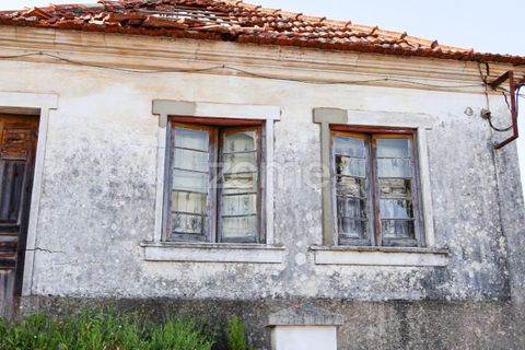 Villa i Pombal, Leiria, Pombal - € 350.000 | Ref: ZMPT587083 - foto 10