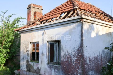 Villa i Pombal, Leiria, Pombal - € 350.000 | Ref: ZMPT587083 - foto 11