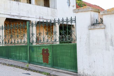Villa i Pombal, Leiria, Pombal - € 350.000 | Ref: ZMPT587083 - foto 16