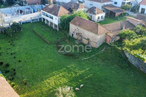Villa i Pombal, Leiria, Pombal - € 350.000 | Ref: ZMPT587083 - foto 18