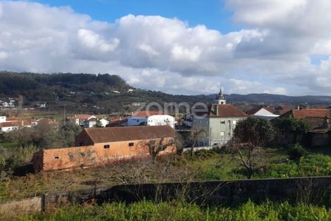 Villa i Pombal, Leiria, Pombal - € 350.000 | Ref: ZMPT587083 - foto 20