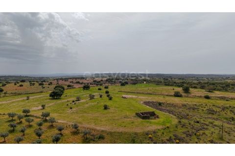 Terra a Rosmaninhal, Castelo Branco, Rosmaninhal - € 920.000 | Ref: LA98961NN - foto 2