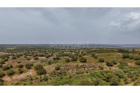 Terra a Rosmaninhal, Castelo Branco, Rosmaninhal - € 920.000 | Ref: LA98961NN - foto 5