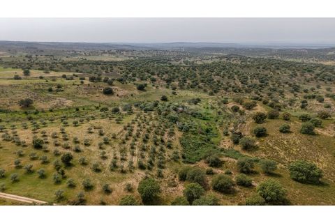 Terra a Rosmaninhal, Castelo Branco, Rosmaninhal - € 920.000 | Ref: LA98961NN - foto 9