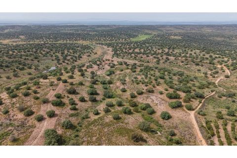 Terra a Rosmaninhal, Castelo Branco, Rosmaninhal - € 920.000 | Ref: LA98961NN - foto 17