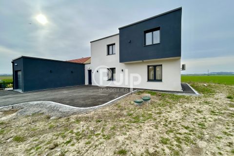 Villa i Mazingarbe, Pas-de-Calais, Mazingarbe - € 410.000 | Ref: seg17620 - foto 1