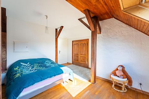 Villa a Strasbourg, Bas-Rhin, Strasbourg - € 1.260.000 | Ref: T66633-IMMOVAL - foto 9