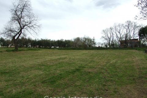 Helårsgrund i Nepi, Viterbo, Nepi - € 83.000 | Ref: Macerata - foto 5