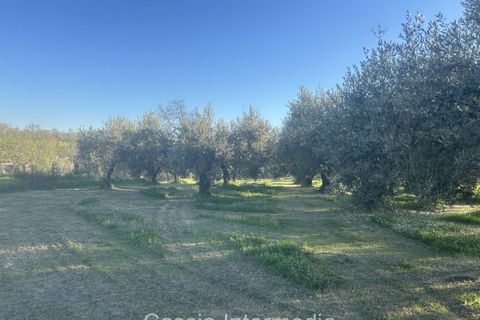 Helårsgrund i Nepi, Viterbo, Nepi - € 83.000 | Ref: Macerata - foto 6