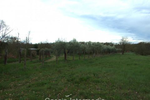 Helårsgrund i Nepi, Viterbo, Nepi - € 83.000 | Ref: Macerata - foto 7