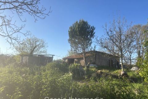 Helårsgrund i Nepi, Viterbo, Nepi - € 83.000 | Ref: Macerata - foto 20