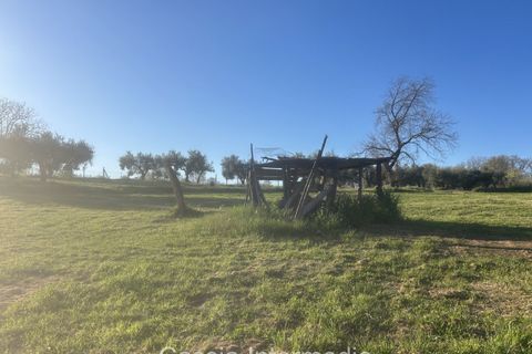 Helårsgrund i Nepi, Viterbo, Nepi - € 83.000 | Ref: Macerata - foto 23