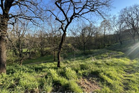 Helårsgrund i Nepi, Viterbo, Nepi - € 83.000 | Ref: Macerata - foto 24