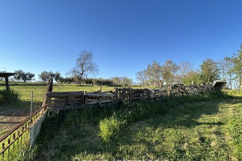 Helårsgrund i Nepi, Viterbo, Nepi - € 83.000 | Ref: Macerata - foto 25