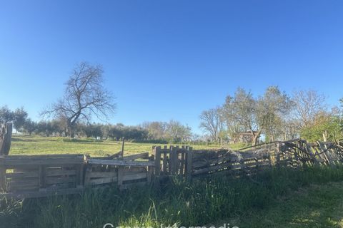 Helårsgrund i Nepi, Viterbo, Nepi - € 83.000 | Ref: Macerata - foto 26