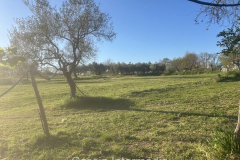 Helårsgrund i Nepi, Viterbo, Nepi - € 83.000 | Ref: Macerata - foto 28