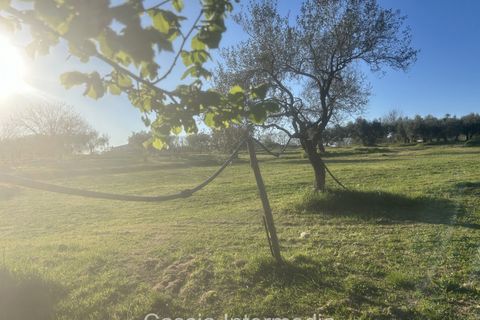 Helårsgrund i Nepi, Viterbo, Nepi - € 83.000 | Ref: Macerata - foto 29