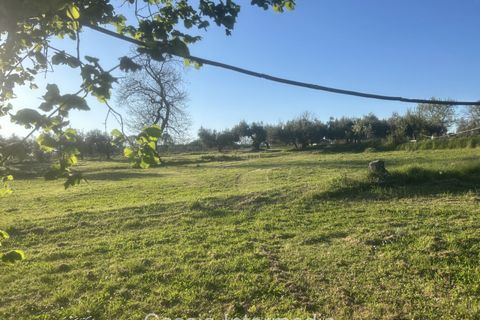 Helårsgrund i Nepi, Viterbo, Nepi - € 83.000 | Ref: Macerata - foto 32
