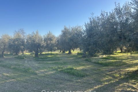 Helårsgrund i Nepi, Viterbo, Nepi - € 83.000 | Ref: Macerata - foto 33