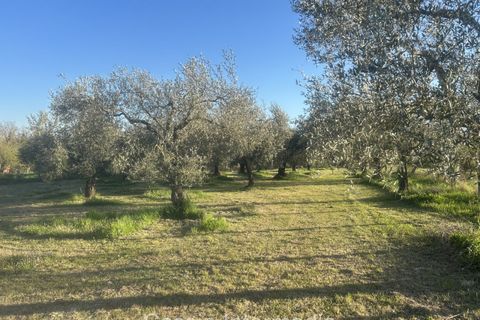 Helårsgrund i Nepi, Viterbo, Nepi - € 83.000 | Ref: Macerata - foto 34