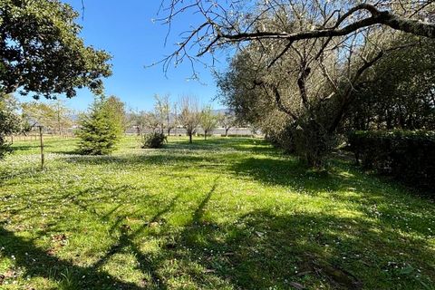 Byhus i Ameglia, La Spezia, Ameglia - € 395.000 | Ref: 1057 - foto 15