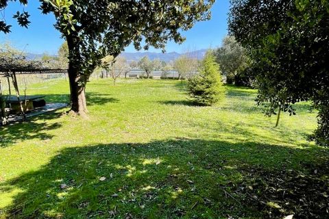Byhus i Ameglia, La Spezia, Ameglia - € 365.000 | Ref: 1057-1 - foto 23