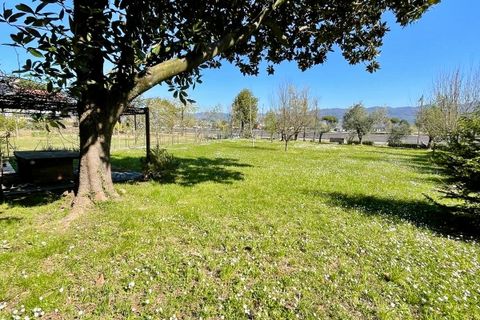 Byhus i Ameglia, La Spezia, Ameglia - € 365.000 | Ref: 1057-1 - foto 24