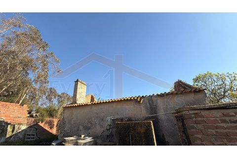 Helårsgrund i Obidos, Leiria, Obidos - € 320.000 | Ref: EL2025552 - foto 7