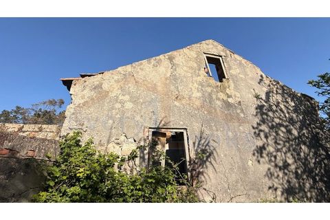 Helårsgrund i Obidos, Leiria, Obidos - € 320.000 | Ref: EL2025552 - foto 9