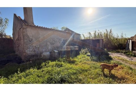 Helårsgrund i Obidos, Leiria, Obidos - € 320.000 | Ref: EL2025552 - foto 10