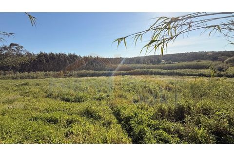 Helårsgrund i Obidos, Leiria, Obidos - € 320.000 | Ref: EL2025552 - foto 12