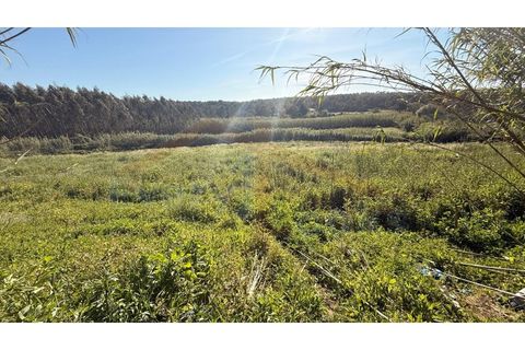 Helårsgrund i Obidos, Leiria, Obidos - € 320.000 | Ref: EL2025552 - foto 13