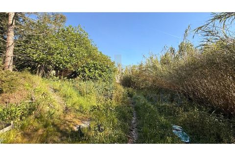 Helårsgrund i Obidos, Leiria, Obidos - € 320.000 | Ref: EL2025552 - foto 15