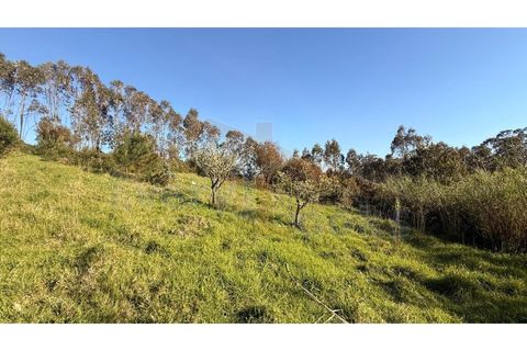 Helårsgrund i Obidos, Leiria, Obidos - € 320.000 | Ref: EL2025552 - foto 16