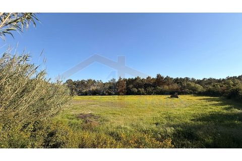 Helårsgrund i Obidos, Leiria, Obidos - € 320.000 | Ref: EL2025552 - foto 20