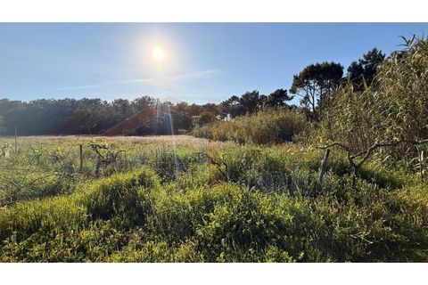 Helårsgrund i Obidos, Leiria, Obidos - € 320.000 | Ref: EL2025552 - foto 21