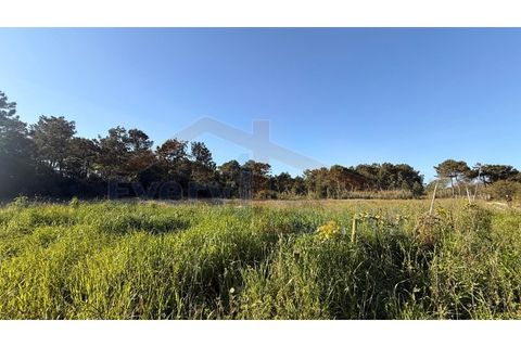Helårsgrund i Obidos, Leiria, Obidos - € 320.000 | Ref: EL2025552 - foto 22