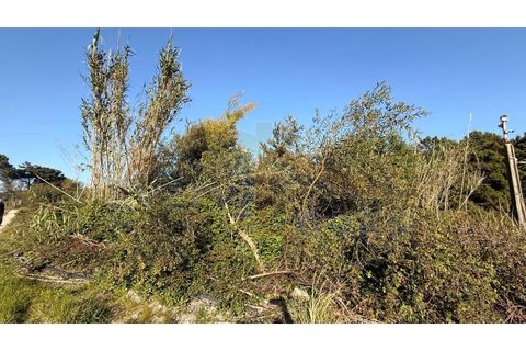 Helårsgrund i Obidos, Leiria, Obidos - € 320.000 | Ref: EL2025552 - foto 24