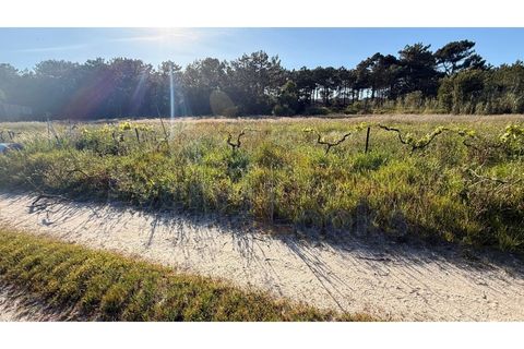 Helårsgrund i Obidos, Leiria, Obidos - € 320.000 | Ref: EL2025552 - foto 25
