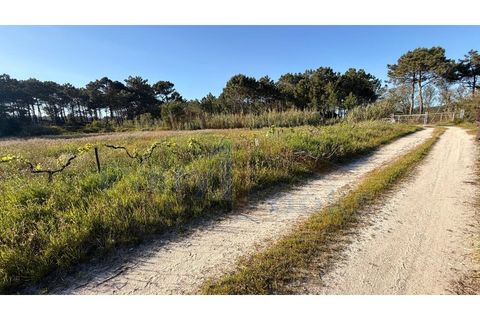 Helårsgrund i Obidos, Leiria, Obidos - € 320.000 | Ref: EL2025552 - foto 26