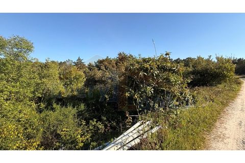 Helårsgrund i Obidos, Leiria, Obidos - € 320.000 | Ref: EL2025552 - foto 27