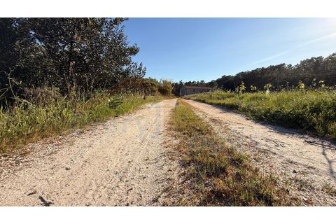 Helårsgrund i Obidos, Leiria, Obidos - € 320.000 | Ref: EL2025552 - foto 29